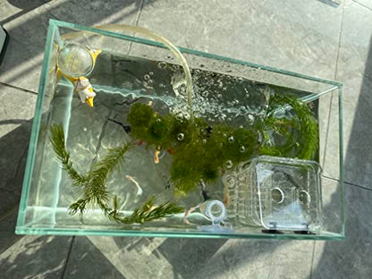 AWXZOM Small Nano Tall Rimless Tank, Glass Fish Tank, Betta Fish Tank, Aquarium (2.85 Gal, 11.8x6.7x7.8 inch) - size: 2.85 Gallon 11.8x6.7x7.8inch/30x17x20cm