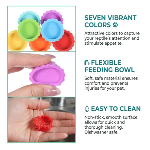 7 Pack Crested Gecko Food Dish and Water Bowl Small Reptile Feeding Cups | Reusable Hermit Crab Food Dish Feeder &corner Foods Dishs Gecko Water Bowl for Bearded Dragon Tank Tortoise Isopods Crab
