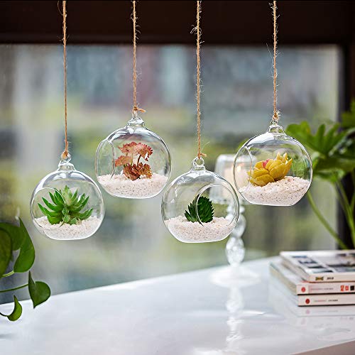 NUPTIO Hanging Glass Terrarium Planters, 4 Pcs, 4 Inch | Clear Round Globes, for Succulents, Air Plants, Votives, DIY Gifts, Window or Garden Decor - size: 4" / 10cm