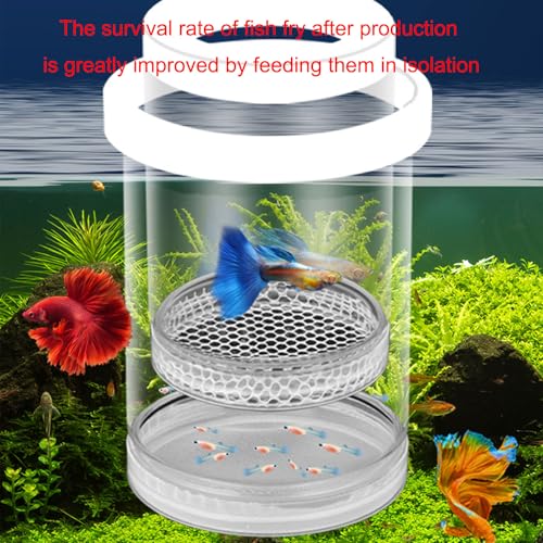 Fish Breeder Box for Raising Fry in Aquariums with Suction Cup Mounting/Floating Breeding Box 3Pcs Floating Hatchery Incubator