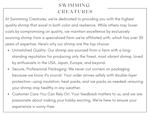 Swimming Creatures™ Premium Neocaridina Shrimp – Freshwater Aquarium Shrimp (10, Premium Sunkist Orange) - color: PREMIUM SUNKIST ORANGE