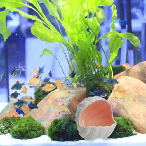AnRui Cute Aquarium Decorations Ceramic Conch Shell-Shaped House Thematic Betta Fish Tank Accessory Decor Ornament Hideout Cave for Fish Playing or Hiding, Pink