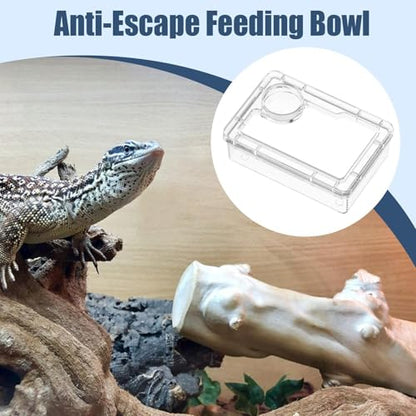 Anti-Escape Crested Gecko Food Dish, Transparent Chameleon Feeding Bowl, Acrylic Reptile Amphibian Habitat Feeders, Pet Supplies, for Tortoise Frog Snake Terrarium Lizard Spider - color: Blue