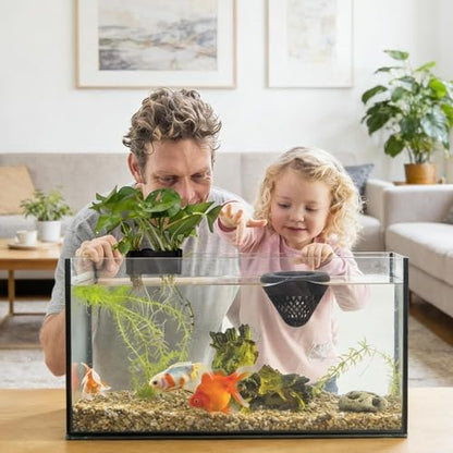 Aquarium Plant Holder - Floating Plant Cup | Cone-Shaped Fish Tank Floating Plants Holder for Aquatic Plants, Freshwater Aquarium and Terrarium Setup, Home, Office, Living Room, Bedroom, Apartment - color: Black