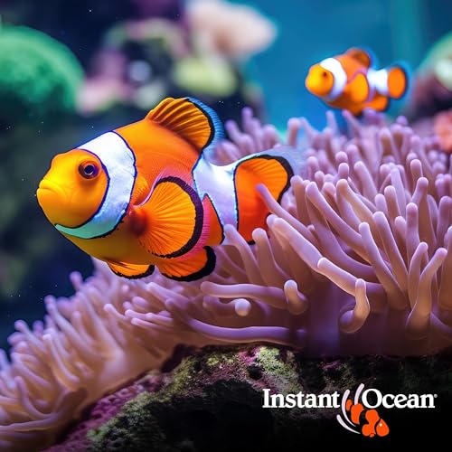Instant Ocean Sea Salt for Marine Fish Tank Aquariums, Nitrate & Phosphate-Free - size: 200 Gallon