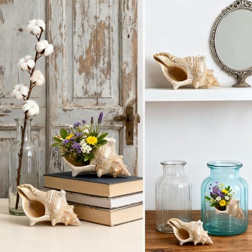 Giant Natural Conch Shell 6-8 Inches, Large Seashell for Vase Filler, Air Plants, Home Decor, Wedding and Beach Theme Party Decoration, Aquarium Accessories