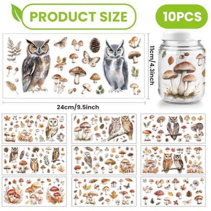 arricraft 10 Pcs Colorful Owl Theme Cup Printing UV Transfer Papers, 10 Styles Mushrooms Leaves Pine Cones Feathers UV DTF Cup Wrap Stickers for 16 OZ Glass Cups Crafts 9.5x4.3inch - style: Colorful Owl Theme