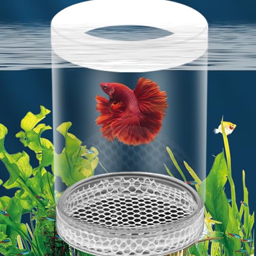 3PCS Aquariums Isolation Box for Protecting Fish and Shrimp from Larger Tanks Inhabitant Growth and Breeding Fish Breeding Box - color: Large white