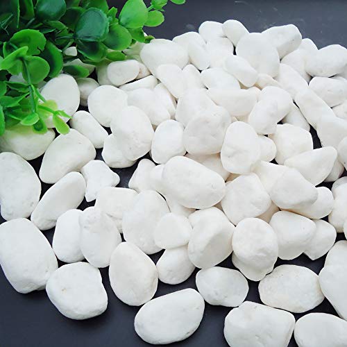 WAYBER White Decorative Gravel Stones for Aquarium & Bonsai Decor, 2 Pounds | Toxin-Free, Fade-Resistant, Ideal for Reiki Healing, DIY Crafts, Vase Filler, Aquarium & Bonsai Decoration - color: White, size: 2 Pounds