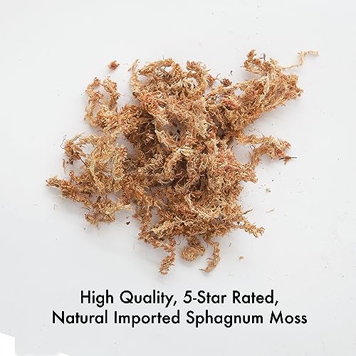 Better-Gro Premium Grade Orchid Moss - 100% Natural,Imported Sphagnum Moss for Orchids,Ferns,and Hostas,Excellent for Hanging Baskets and Propagating Plants - 190 Cubic Inches,(Pack of 2) - size: 190 cu. in. (Pack of 2)