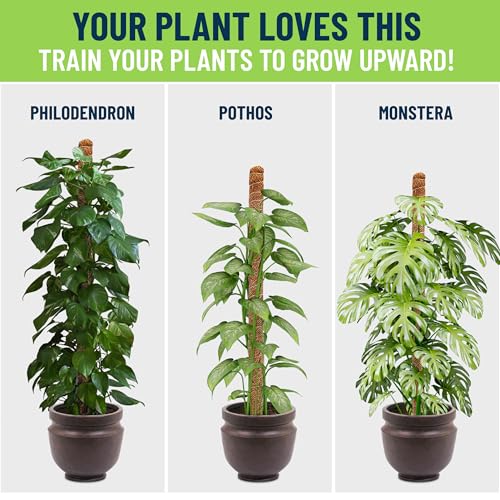 Plant Sticks Support Tall – Large Moss Pole Monstera Plant Support 48 Inch (1 Pack), Bendable Tall Moss Pole for Plants, Indoor Climbing Pole, Easy to Shape and Use - size: 48" - 1 Pack