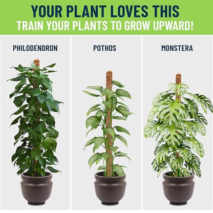 Plant Sticks Support Tall – Large Moss Pole Monstera Plant Support 48 Inch (1 Pack), Bendable Tall Moss Pole for Plants, Indoor Climbing Pole, Easy to Shape and Use - size: 48" - 1 Pack