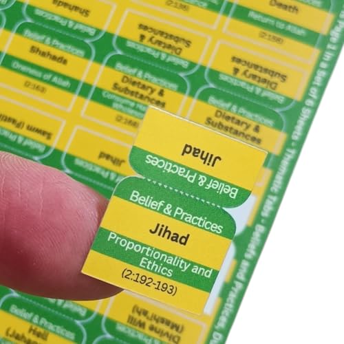 Quran Organizer Tabs, 250+ Thematic Tabs - Prohibitions, Beliefs & Practices, Duas from The Quran, Quran Study Journaling, Quran Accessories, Islamic Gifts