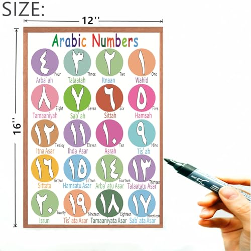 Arabic Alphabet, Numbers 1-20 Poster for Classroom Wall, Laminated, 12”x16”,2 Pack, Visual Learning Educational Learning Wall Chart for Kids, Classrooms, Home School Décor, Back to School Supplies