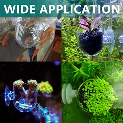 Uenhoy 5 Pcs Acrylic Aquarium Plant Pot Suction Cup Fish Tank Holder 2.44" | Acrylic Transparent Durable, Suction Cup Firm Hold, Bottom Permeable Hole For Roots, 2.44"x2.56", Fish Tank Aquarium Decor - size: 5 Pcs