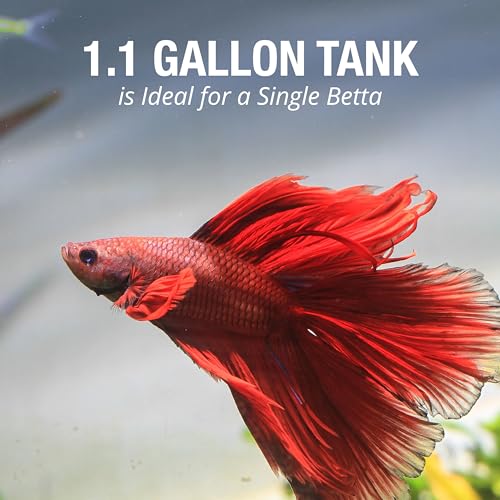 Tetra 1 Gallon Half Moon Small Fish Tank w/Movable LED Light, for Betta & Gold Fish, Aquarium | (Pack of 3) - size: 9"W,10.5"H,4.5"D (Pack of 3)