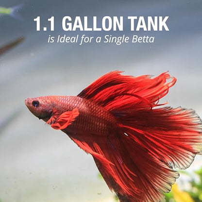 Tetra 1 Gallon Half Moon Small Fish Tank w/Movable LED Light, for Betta & Gold Fish, Aquarium | (Pack of 3) - size: 9"W,10.5"H,4.5"D (Pack of 3)