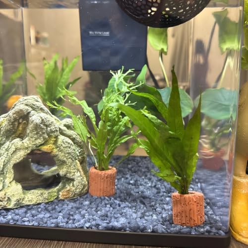 10-Pack 25mm Aquatic Plant Ring Base for Aquarium Pots | water plant holder, fish tank aquascape support, ceramic pot mount fit, plant stem secure clip, diy tank landscape