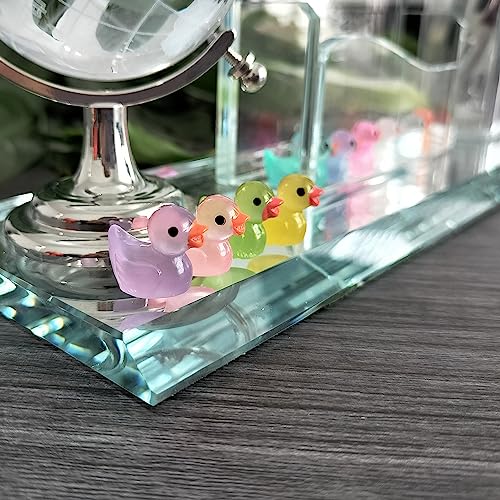 Cidinge 220 Pcs Mini Resin Ducks Luminous Tiny Ducks Miniature Duck Glow in The Dark for DIY Garden Dollhouse Duck Accessories Micro Landscape Aquarium Party Decor - style: Resin Luminous Ducks
