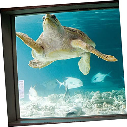 POPETPOP Breeding Tank Aquarium Isolation Box for Fish Cup Design for Betta and Guppy Hatchery Made from Material Easy to Install Observation of Fish Conditions