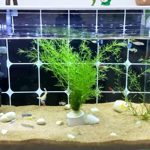 12 Pack Aquarium Plant Weights, Aquatic Plants Fixed Ring Set, Anti-Floating Ceramic Aquarium Plant Rings, Aquarium Landscape Decoration Fish Tank Accessories 1.8 x 1.3 Inch - size: 12PCS