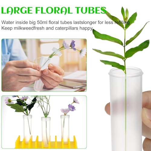 Beeveer 2 Short Peg Rack with 16 Large Floral Tubes Floral Water Tubes for Feeding Fresh Milkweed Cuttings Host Plants Nectar Flowers Habitat Supplies