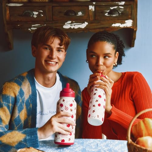 BOTTLE BOTTLE 32oz Insulated Water Bottle with Pill Box | Stainless Steel,Sport Water Bottle, with Straw Dual-use Lid and Pill Box, Design for Gym - color: berry