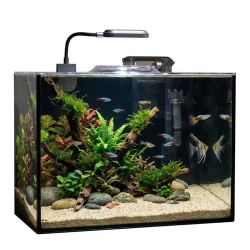 Rise Torrent Glass Fish Tank, 2.8 Gallon Betta Fish Tank Aquarium Starter Kit with Filter and Light, Small Desktop Aquarium Kit for Betta, Goldfish, Small Fish or shrimg - size: 2.8 Gallon