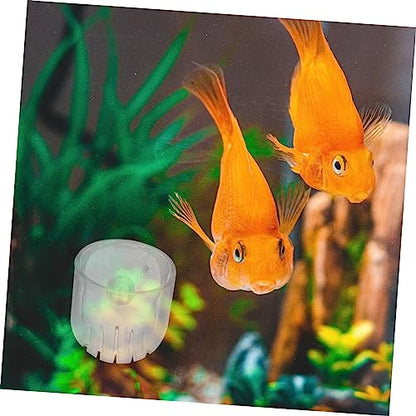 BESPORTBLE 4pcs Acrylic Feeding Cups for Aquariums Transparent Shrimp Feeder Dishes with Suction Cup Design Easy to Install Promotes Healthy Eating for Fish and Shrimp