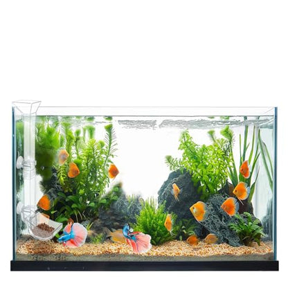 Aquarium Fish Shrimp Feeding Dish Set - Clear Feeder Tube and Dish With Cleaning Brush and Measuring Spoon for Preventing Food Scattering - Supplies for Shrimp Medium - size: Medium