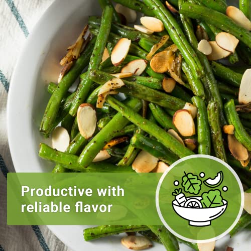 Sow Right Seeds - Contender Bush Bean Seed for Planting Green Beans Garden | Plant stringless non-GMO heirloom variety for home outdoors vegetable gardening. Popular fresh veggies for growing outside.
