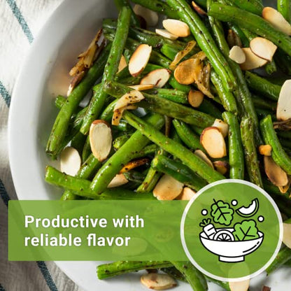 Sow Right Seeds - Contender Bush Bean Seed for Planting Green Beans Garden | Plant stringless non-GMO heirloom variety for home outdoors vegetable gardening. Popular fresh veggies for growing outside.