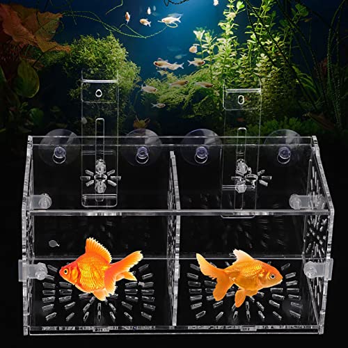 Fish Isolation Box for Aquarium,Fish Breeding Box, Acrylic Transparent Fish Tank for Tank Anemone Aquarium Hatchery Incubator Holder Breeder Quarantine Breeding Isolation Box (20CM*10CM*10CM)