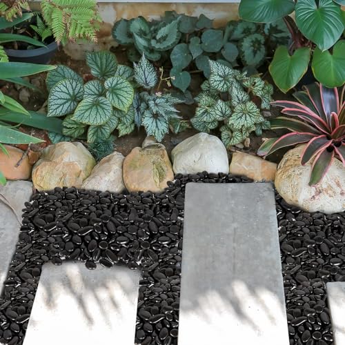 GASPRO 30 Pound River Rocks, Decorative Stones for Walkways, Outdoor Landscaping, Garden, Yard, 1 to 2 Inch, Black Polished Pebbles for Planters, Flower Beds, Vase - size: 30lb