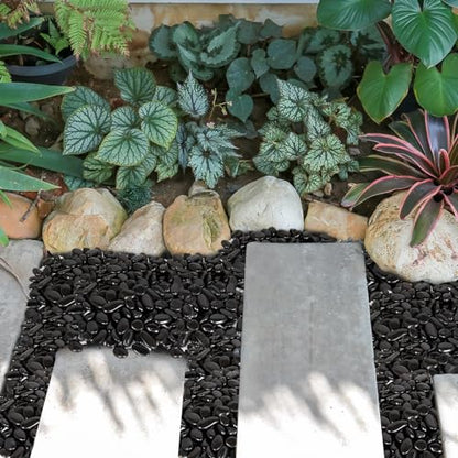 GASPRO 30 Pound River Rocks, Decorative Stones for Walkways, Outdoor Landscaping, Garden, Yard, 1 to 2 Inch, Black Polished Pebbles for Planters, Flower Beds, Vase - size: 30lb