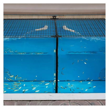 1Set Aquarium Divider Tray Plastic Grid Sheet for Fish Tank Bottom Isolation Partition Design Promotes Species Coexistence Water