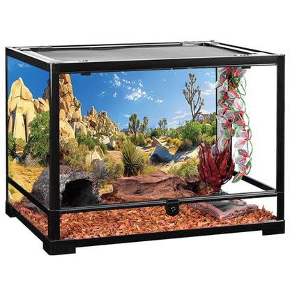 AWERT 30x18 inches Reptile Habitat Background Stone Blue Sky Oasis Cactus Sun and Desert Terrarium Background Polyester Background - size: 30x18in/75x45cm