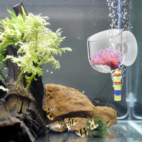 Yolev Aquarium Plant Holder 2Pack Clear Plant Holder Pot Holder Planter Cup | for Fish Tank, Hanging Fish Tank Plants, for Aquarium, with Suction Cup
