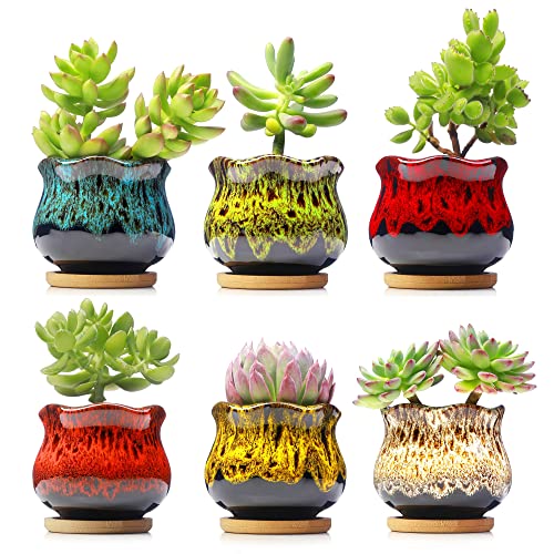 Cute Ceramic Succulent Planters, Garden Pots with Drainage and Attached Saucer, Set of 6 - Plants Not Included