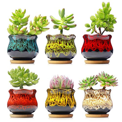 Cute Ceramic Succulent Planters, Garden Pots with Drainage and Attached Saucer, Set of 6 - Plants Not Included