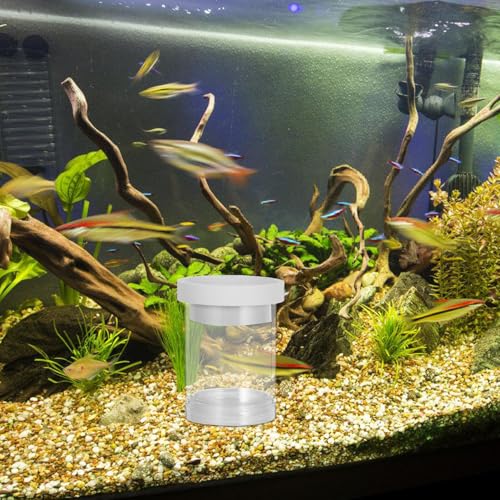 Fish Breeding Box Aquarium Isolation Chamber Floating Hatchery Incubator Net Small White Fry Nursery Tank for Guppy and Small Fish