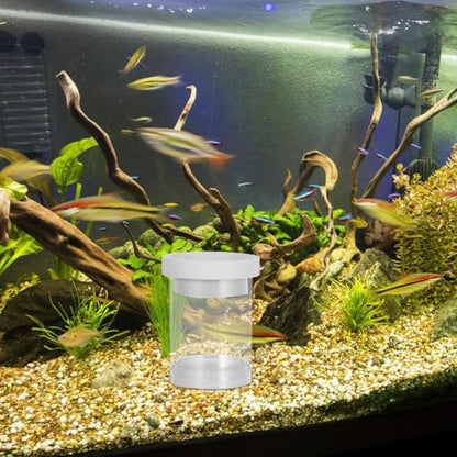 Fish Breeding Box Aquarium Isolation Chamber Floating Hatchery Incubator Net Small White Fry Nursery Tank for Guppy and Small Fish