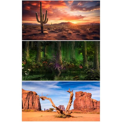 3 Pack Reptile Habitat Background Sunset Desert Terrarium Background Fantasy Forest Aquarium Background Gobi Sunshine Cactus Stone Green Fern Lizard Tank Terrarium Background 48x24in - size: 48(W)x24(H)inches/ 120(W)*60cm(H)
