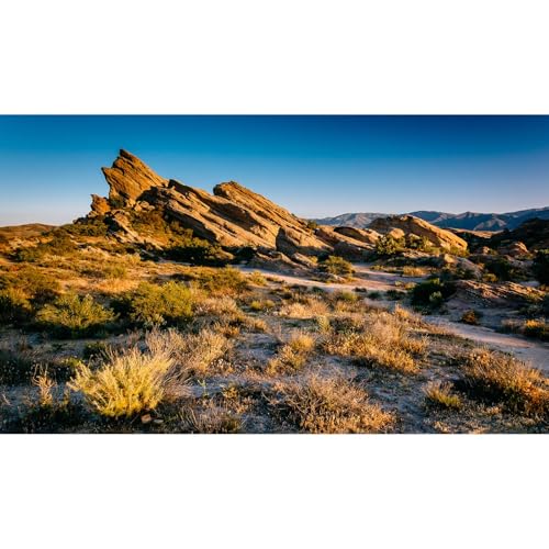 Desert Reptile Tank Background Evening Light on Rocks Terrarium Background Sunset Desert Rocky Bush Thorns Reptile Enclosure Backgrounds Desert Gobi Bearded Dragon Tank Aquarium Backgrounds 24x12in - color: Gobi Gold, size: 24(W)x12(H)inches/ 60(W)*30cm(H