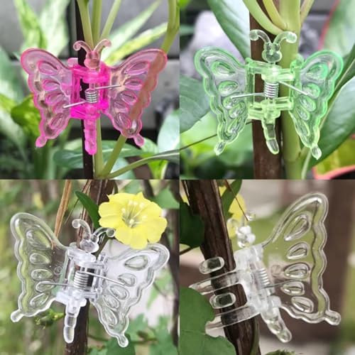 GXXMEI 70PCS Orchid Clips Butterfly Plant Clips Orchid Support Clips Vine Clips Plant Clips for Support Flower Orchid Vine