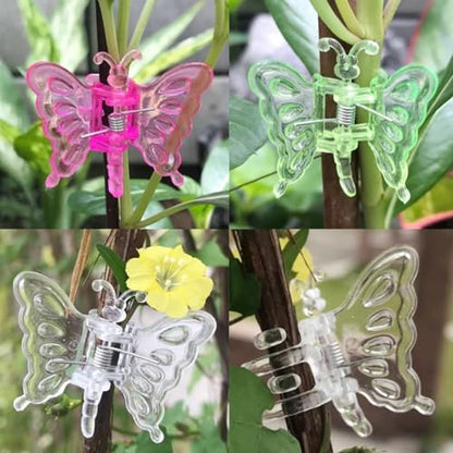 GXXMEI 70PCS Orchid Clips Butterfly Plant Clips Orchid Support Clips Vine Clips Plant Clips for Support Flower Orchid Vine