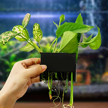 Aquarium Plant Holder for Rimmed Tank, Aquarium Hanging Plant Holder, Plastic Aquatic Plant Pot with 5 Hole, Fish Tank Decorations for Aquatic Plants, 0.5 inch - size: 0.5 Inch