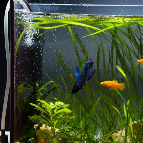 uxcell 20Pcs Aquarium Suction Cup Clips, 10mm Airline Tube Holders Clamps Cup Holder Sucker Tube Sucker for ID Airline Tubing Fish Tank, Clear - size: 10mm