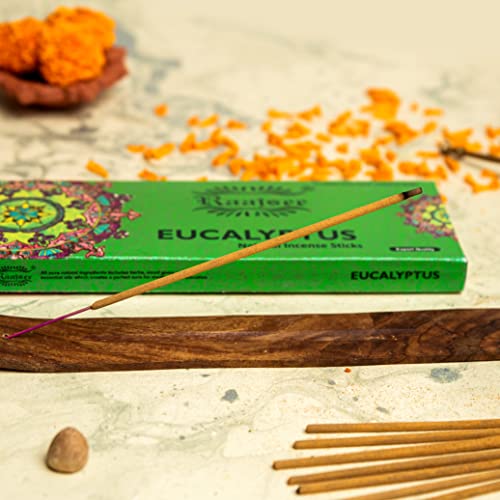 Raajsee Incense Sticks Eucalyptus 100 gm Pack-100% Pure Organic Natural Hand Rolled Free from Chemicals-Perfect for Church, Aromatherapy,Relaxation,Meditation,Positivity & Sensual Therapy - color: Eucalyptus