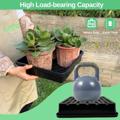 1010 Growing Trays, 10-Pack Heavy Duty Seed Trays 10" x 10" Without Drain Holes for Seedlings, Microgreens, Wheatgrass, Fodder & Hydroponics, Black - size: 10-Pack